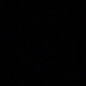 Meet your Posher, Toni